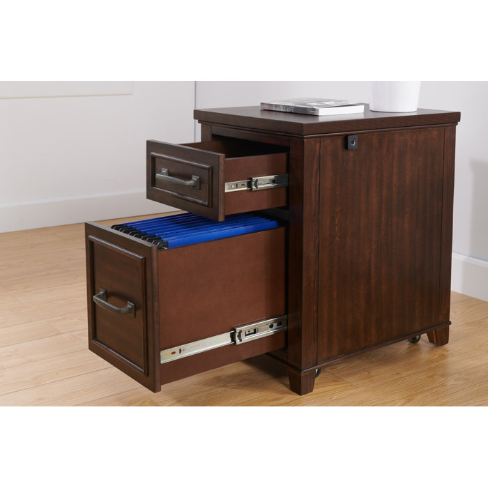 Three Posts™ Larocco 2Drawer Mobile Vertical Filing & Reviews